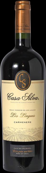 Actual product image Casa Silva Carmenère Gran Terroir de los Andes Los Lingues