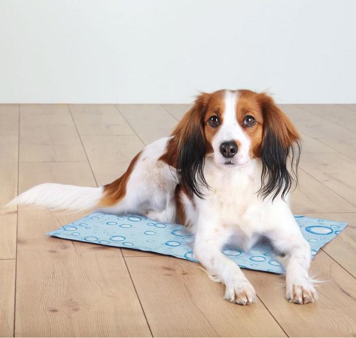 Immagine prodotto Trixie Tappeto di raffreddamento (Cane)