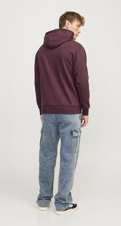 Produktbild Jack & Jones Jjecaleb Varsity Sweat Hood Noos (S)