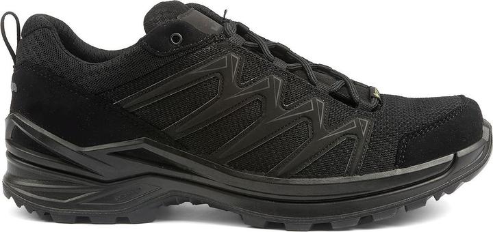 Image du produit Lowa Innox Pro GTX LO TF (44)