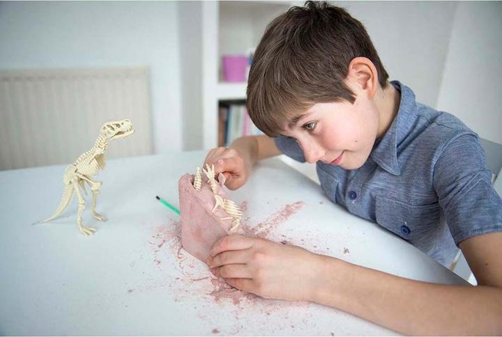 Immagine prodotto 4M Scheletro di Tyrannosaurus Rex - Set di scavi - Paleontologia - Bambino - 8 anni