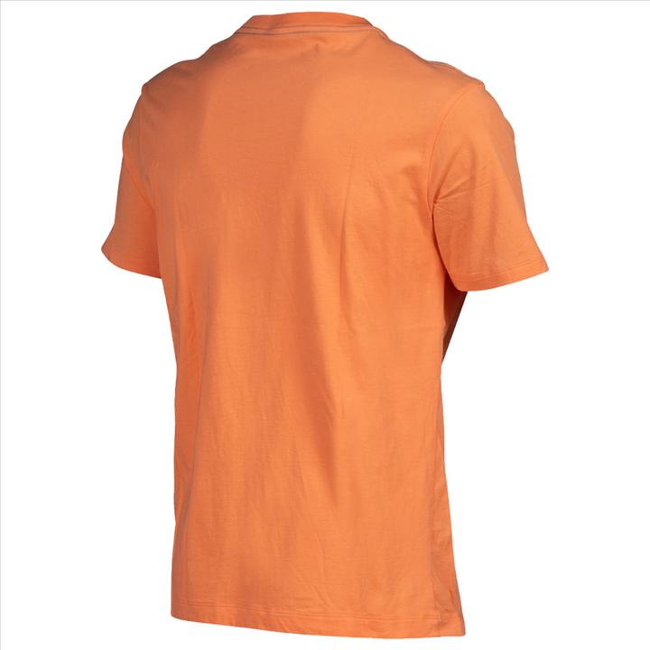 Actual product image Arena M T-Shirt Solid Cotton (S)
