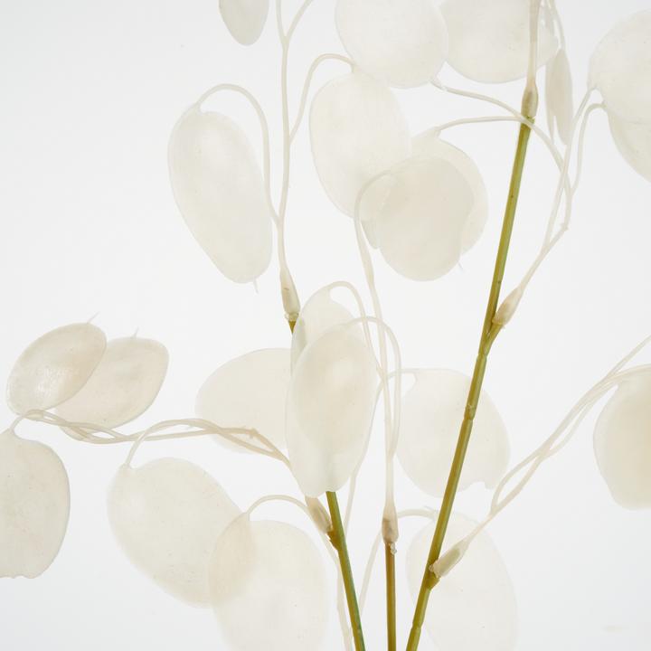 Produktbild DPI Lunaria Zweig, L 71 cm