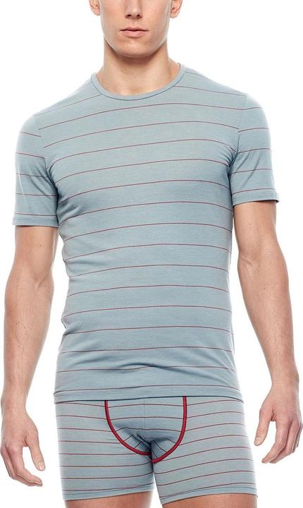 Produktbild Icebreaker Anatomica SS (M)