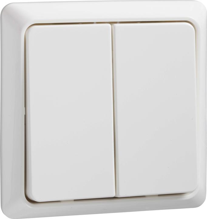 Actual product image ELSO Double pushbutton