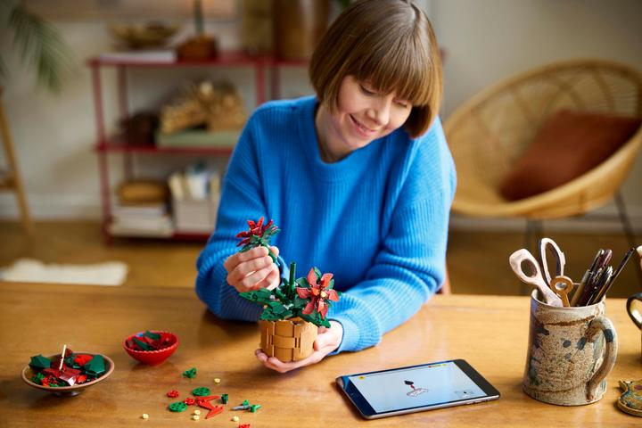 Produktbild LEGO Weihnachtsstern (10370, LEGO Icons)