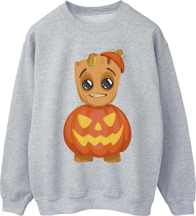 Produktbild Sweatshirt (4XL)
