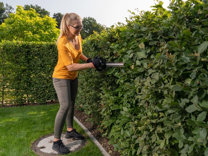 Actual product image AL-KO Ht 1845 Set (Cordless hedgecutters)