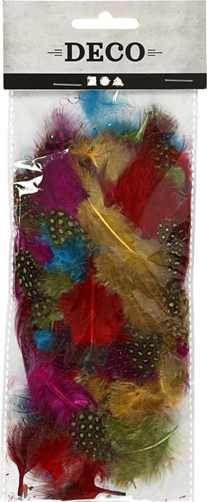 Immagine prodotto Creativ Company Assortimento di piume di faraona