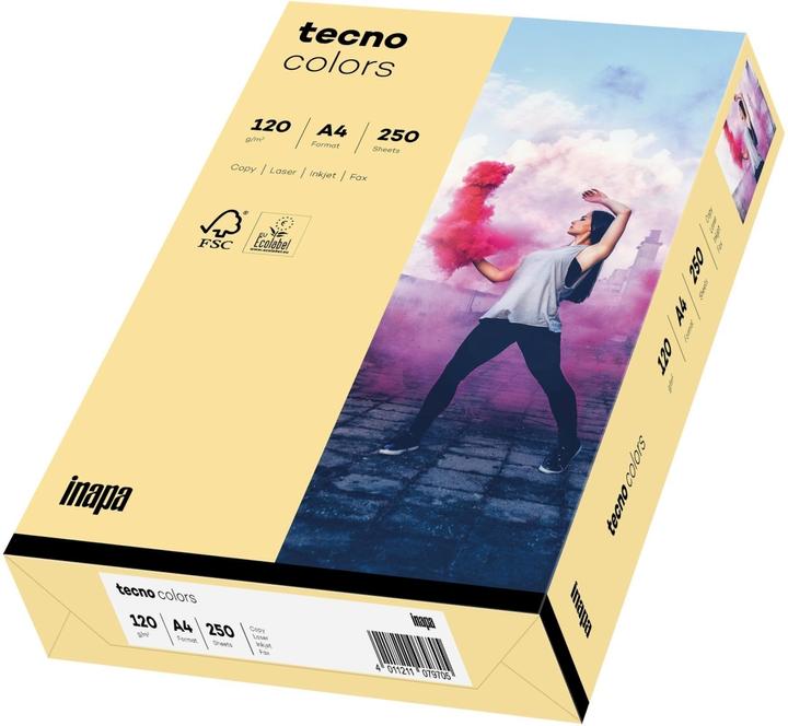Produktbild Inapa Kopierpapier colors chamois DIN A4 120 g/qm 250 Blatt (120 g/m², A4)