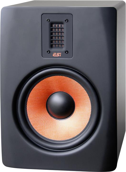 ESI Audiotechnik Unik08+ (Active, 1 pc., 1x 140 W)