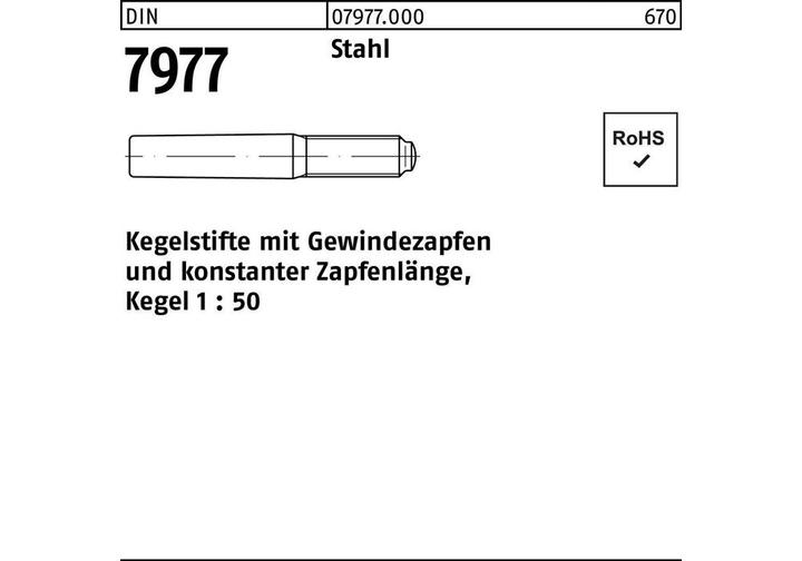 Actual product image SanDisk DIN 7977 Taper pins with threaded pin Steel 8 x 55 S