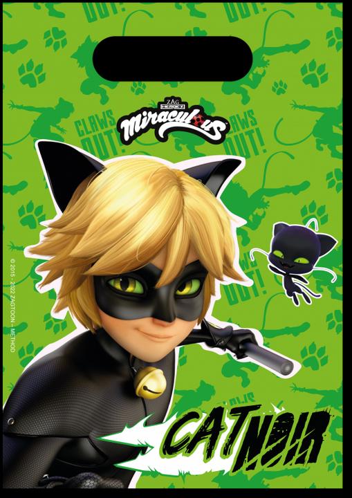 Image du produit Been Smile Cat Noir Miraculous Partytüten
