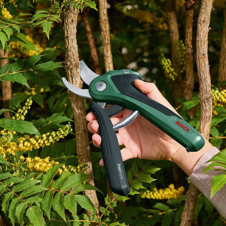 Actual product image Bosch Home & Garden EasyPrune