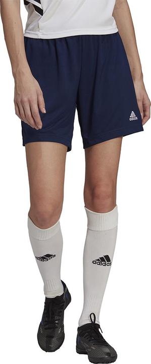 Actual product image adidas Entrada 22 Shorts Ladies (XL)