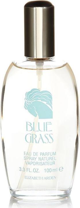 Immagine prodotto Elizabeth Arden Erba blu (Eau de parfum, 100 ml)