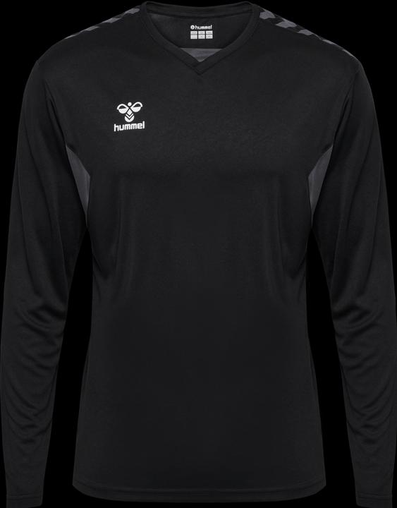 Actual product image hummel Hmlauthentic Pl Jersey L/S (L)
