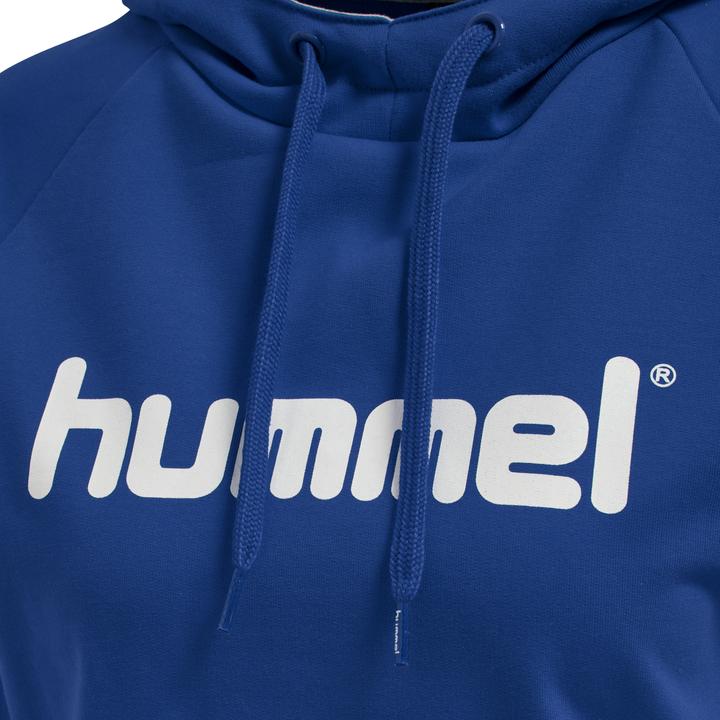 Actual product image hummel Go Cotton Logo Hoodie Woman (S)