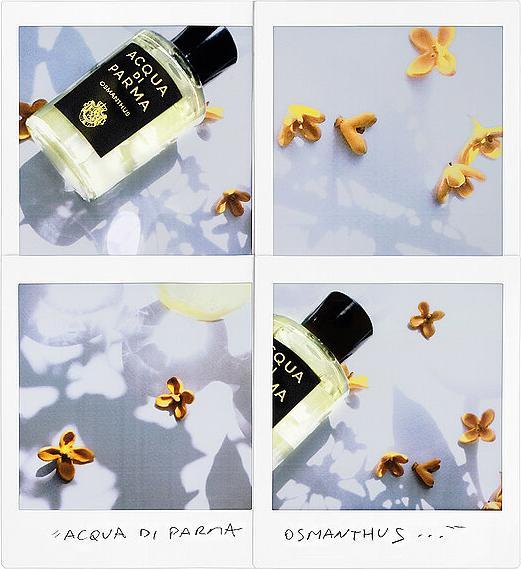 Immagine prodotto Acqua Di Parma Osmanthus Eau de Parfum (Eau de parfum, 180 ml)