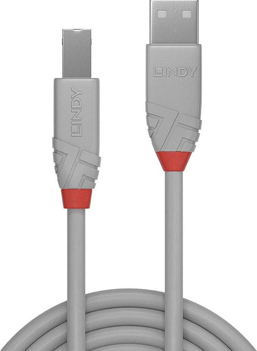 Actual product image Lindy USB/A-USB/B M-M (0.50 m, USB 2.0)