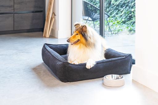 Image du produit Designed by Lotte Ribbed (Chien)
