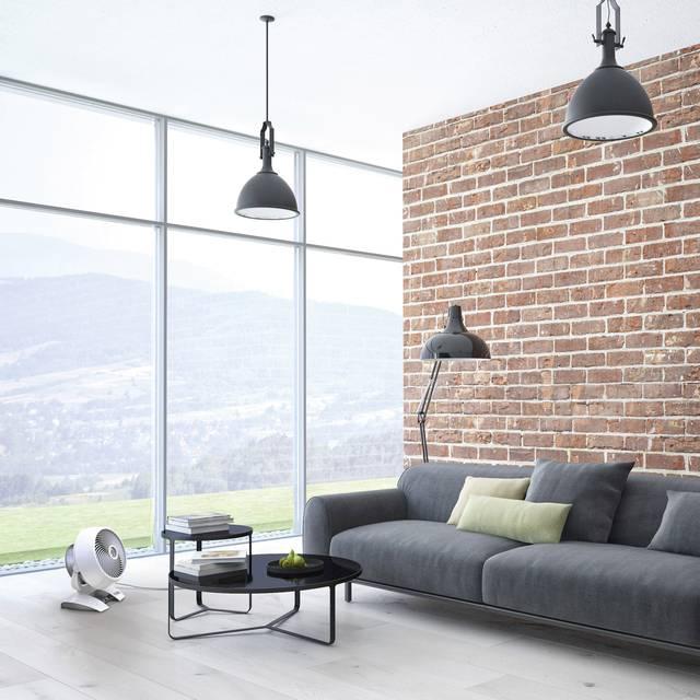 Actual product image Vornado 6303dc