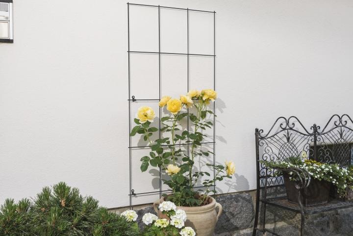 Image du produit Windhager Treillis (150 cm, 75 cm)