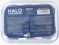Actual product image Halo Rectangular lunch box with hermet lid 20.5x15.3cm