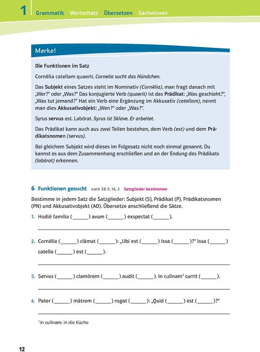 Actual product image Pontes 1. Das Trainingsbuch zum Schulbuch (German, MariaAnna, Söllner, 2014)