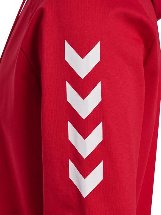 Actual product image hummel Hmlgo Cotton Hooded Jacket Men (S)