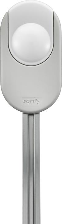 Produktbild somfy 1241568 Dexxo Smart 1000 io