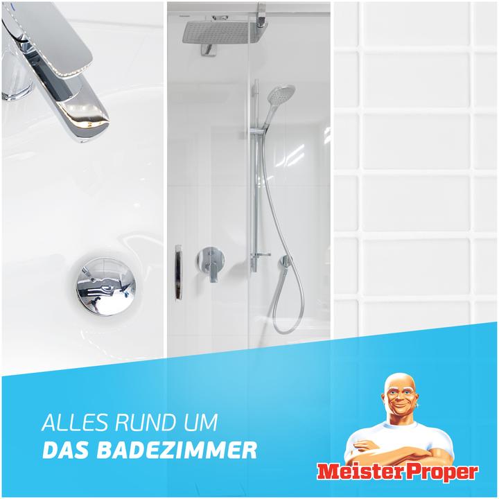Actual product image Meister Proper Badreiniger Spray