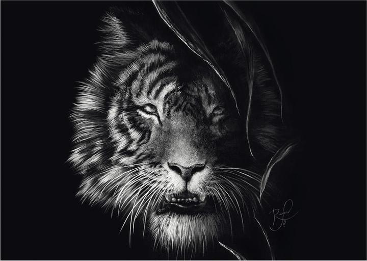 Image du produit Schmidt Spiele Tigre Sous le signe de la liberté 1000 pièces (1000 pièces)