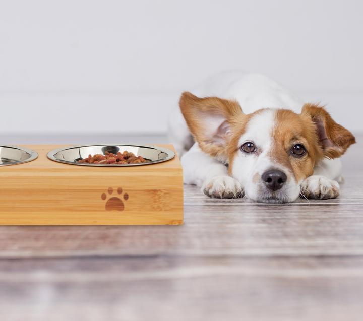 Actual product image Relaxdays Dog food station (0.30 l)