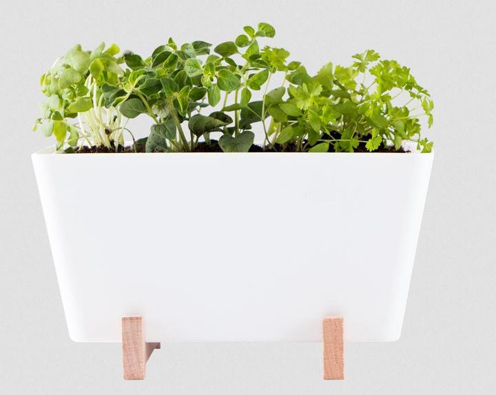 Image du produit WaterWick PlantBox (14 cm)