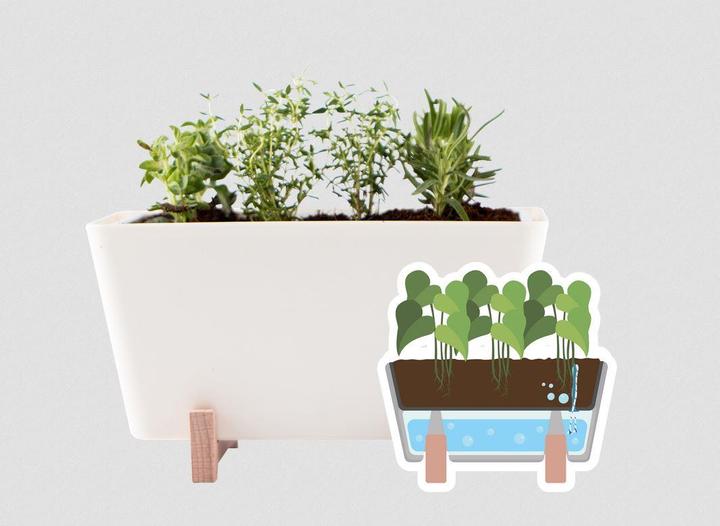 Image du produit WaterWick PlantBox (14 cm)