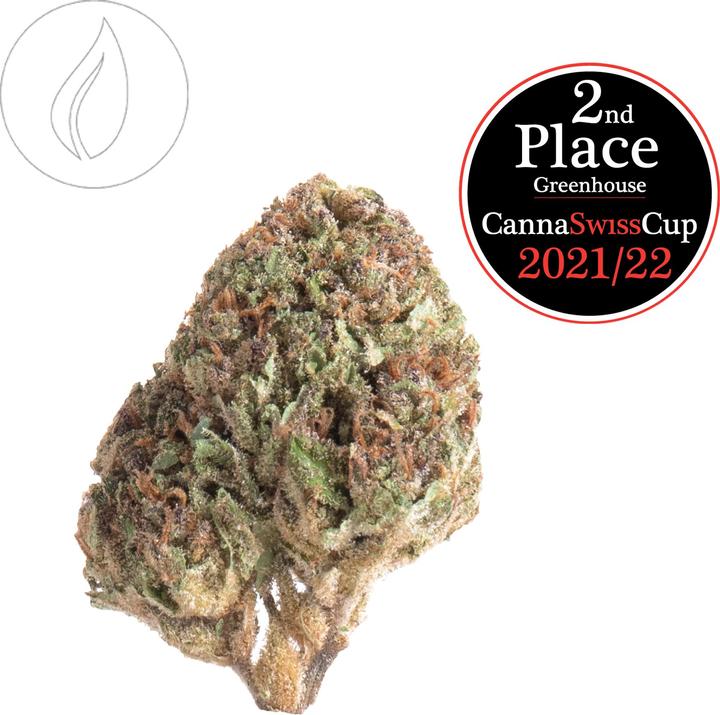 Immagine prodotto SlowWeed Biscotti Slow Weed Kush Greenhouse 6g (25.07 g, Interno)