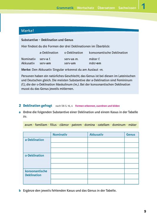 Actual product image Pontes 1. Das Trainingsbuch zum Schulbuch (German, MariaAnna, Söllner, 2014)