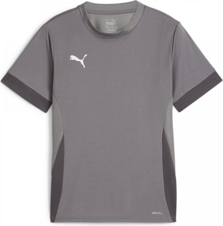 Actual product image Puma teamGOAL Matchday Jersey jr (164)