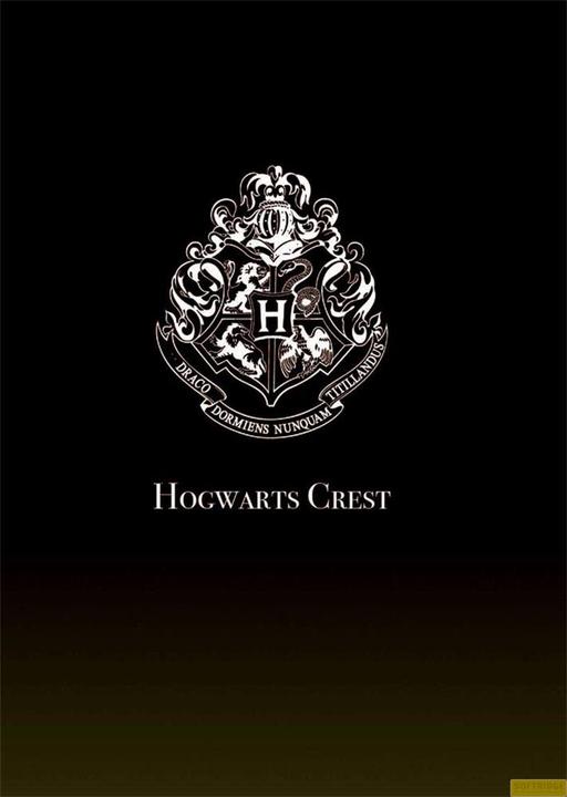 Immagine prodotto Groovy Proiettore Harry Potter Lumos Maxima