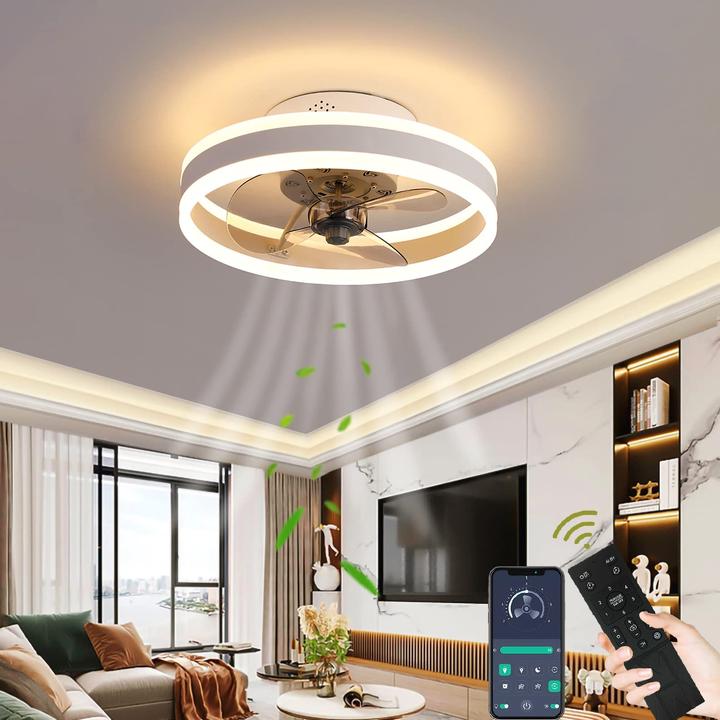 Image du produit Wildcat Ventilateur de plafond avec éclairage