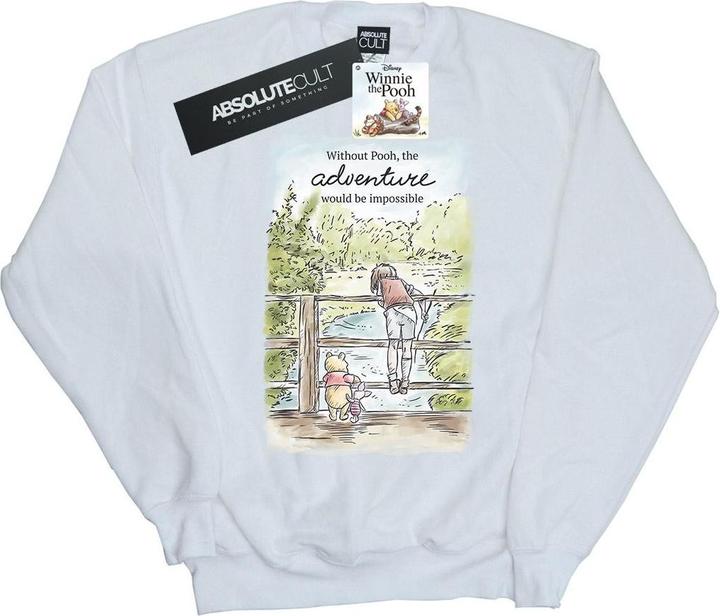 Actual product image Disney Mens Winnie The Pooh Adventure Sweatshirt (L)