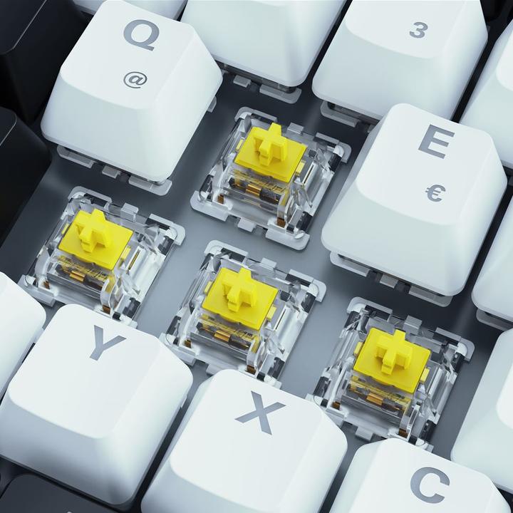 Actual product image Sharkoon Skiller SGK50 S3 (DE, Cable)
