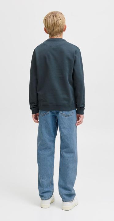 Actual product image Jack & Jones JJICHRIS JJORIGINAL SQ 267 JNR Relaxed Fit Jeans Junior Relaxed Fit Jeans (164)