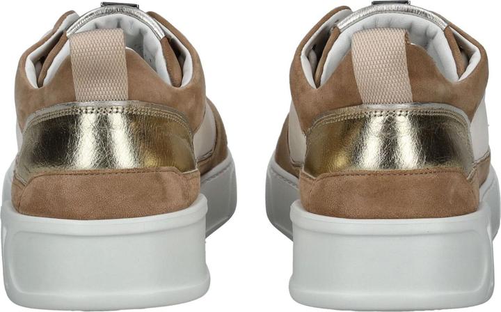 Actual product image Högl Sneaker (41)