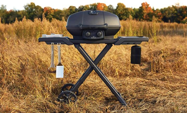 Produktbild Napoleon TravelQ Pro 285 X (4.10 kW)