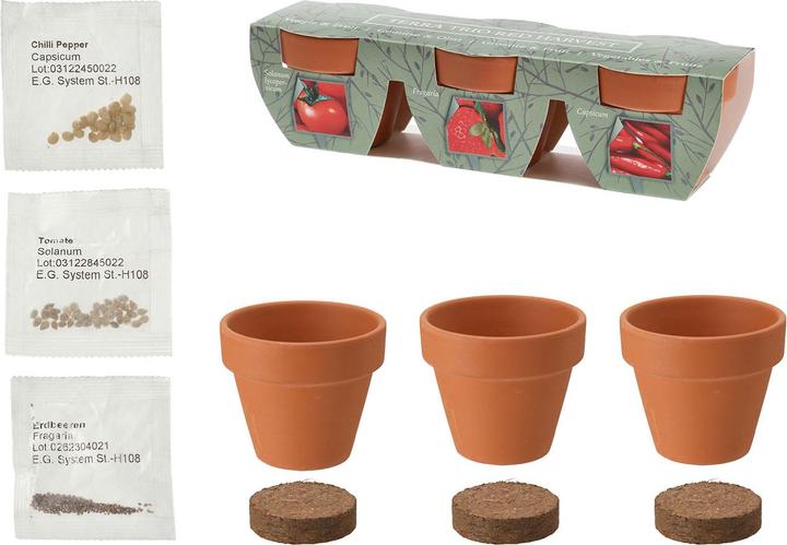 Actual product image ProGarden Mini Gewächshaus mit Anzuchtset - Tomate, Erdbeer und Chilis