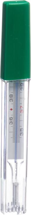 Actual product image Gribi Clinical thermometer mercury free with case (Armpit, Rectal, Mouth)