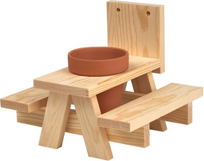 Crawling beetle squirrel picnic table