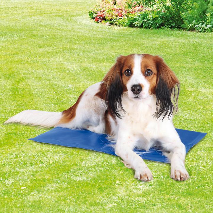 Actual product image Trixie Cooling mat (Dog, Cat)